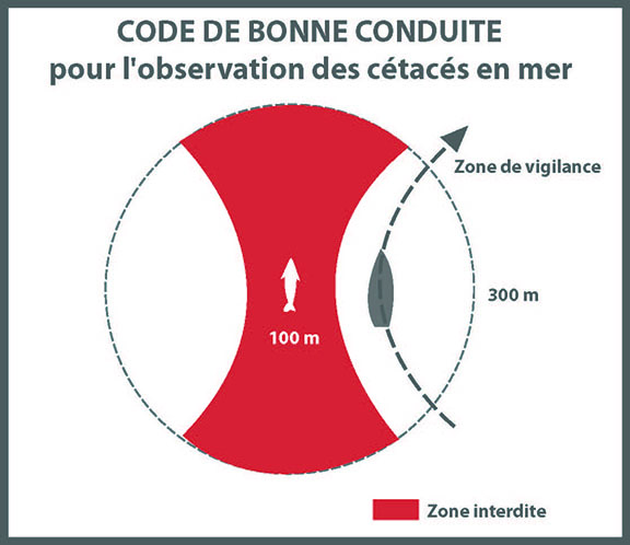 code-de-bonne-conduite-dv