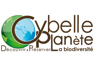 logo-cybelle-planete