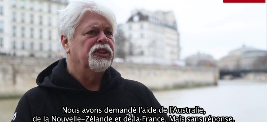 rencontre avec les dauphins marineland antibes