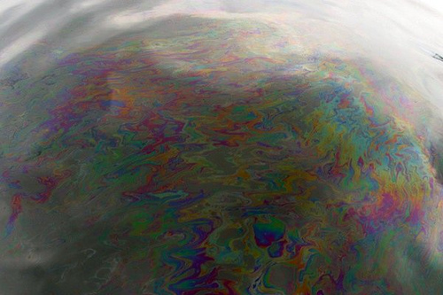 Oil spill Louisiana 2010 (C)NWFblogs_FLickr2607.jpg