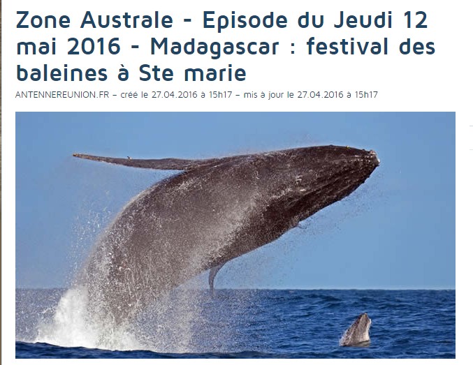 festival des baleines 0 madagascar