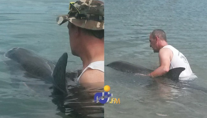 Les riverains ont du s'y prendre à plusieurs reprises pour ramener le dauphin vers le large. ©Réseaux sociaux