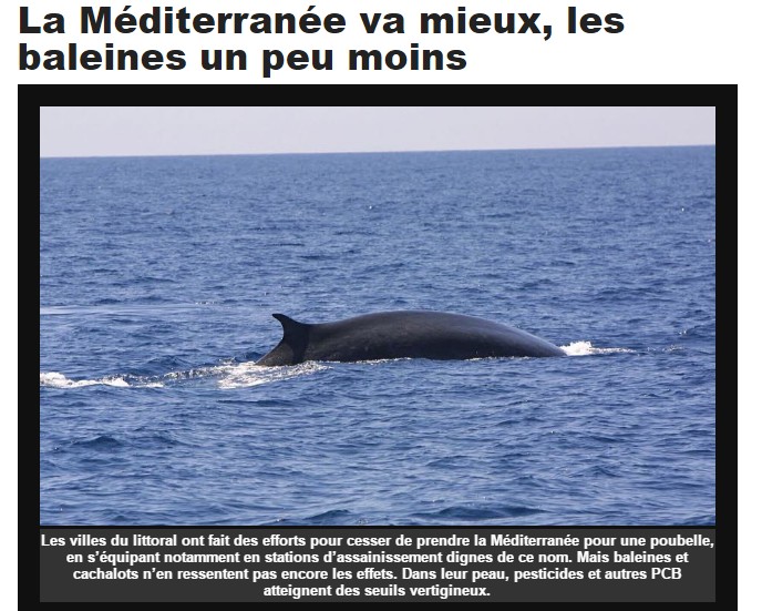 Sans titre 42