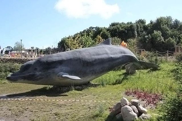 Reproduction d'un spécimen de baleine à bec