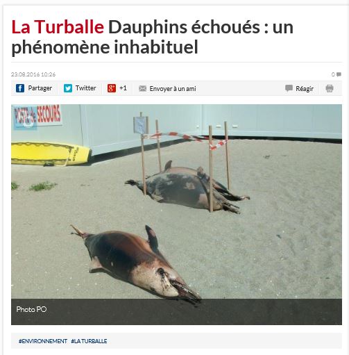 capture-presse-ocean-turballe