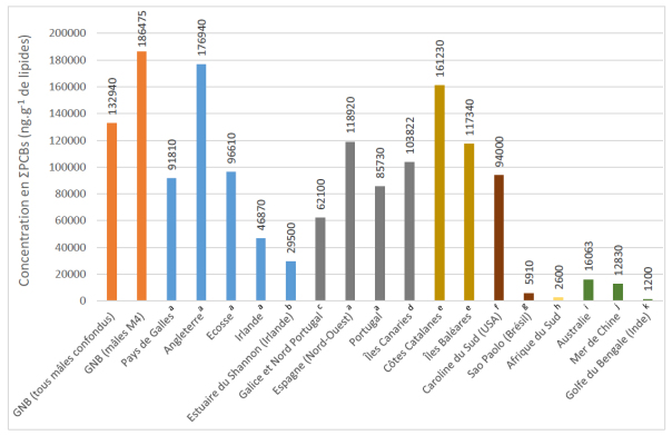 concentration-en-pcb-chez-les-grands-dauphins-du-monde