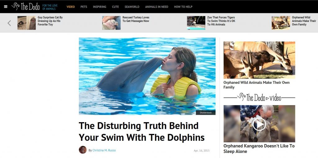 rencontre avec les dauphins planete sauvage avis