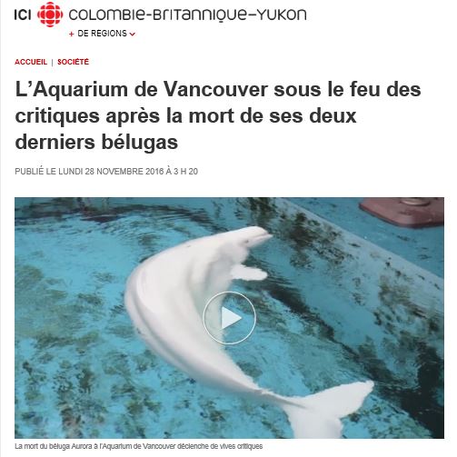 captureaquariumvancouver