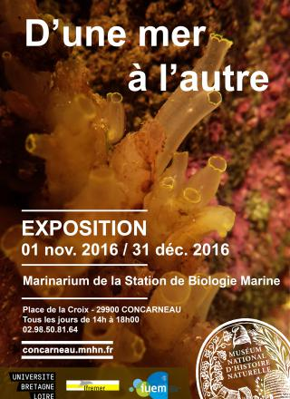 expobretagne