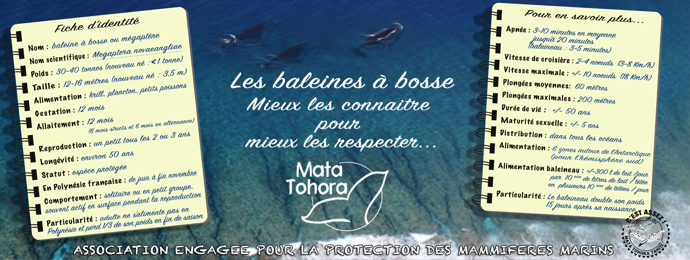 page-de-couverture-mata-tohora-14