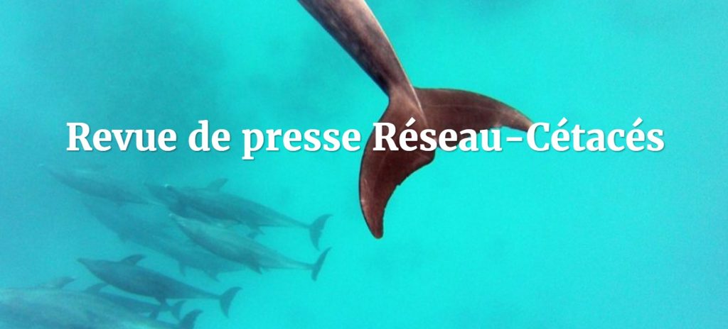 Revue de presse