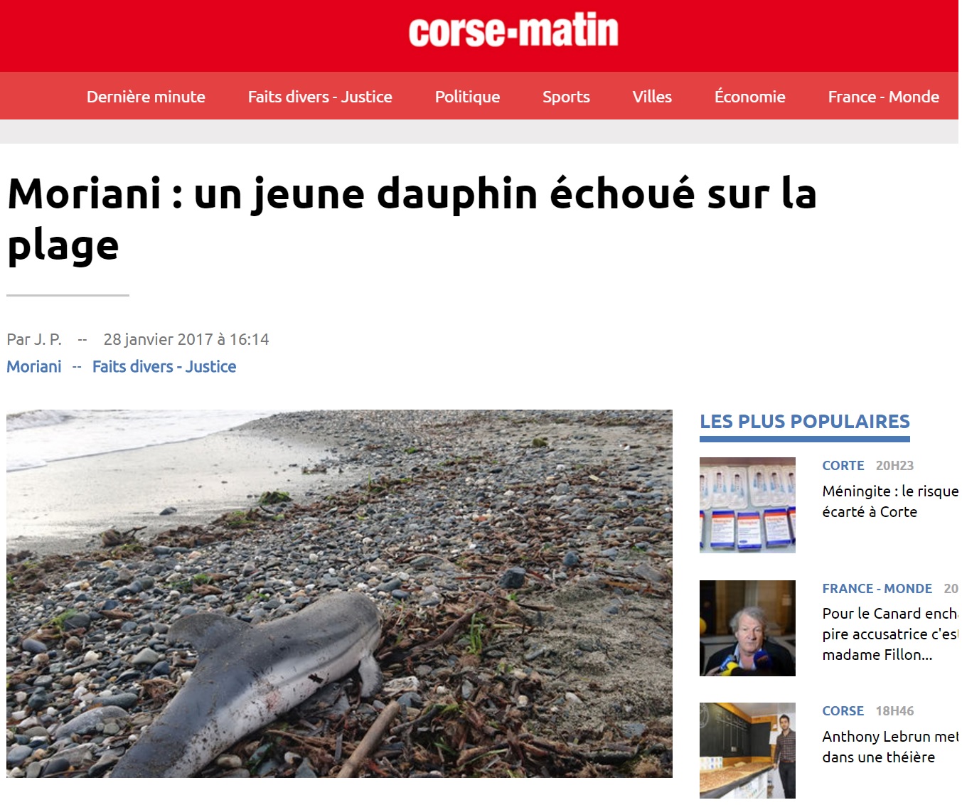 corse matin