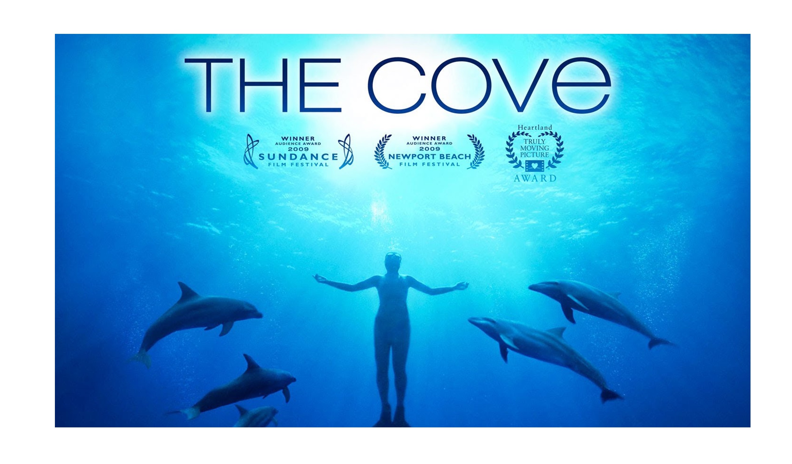 The Cove : des cinéastes s’opposent au massacre de dauphins au Japon…