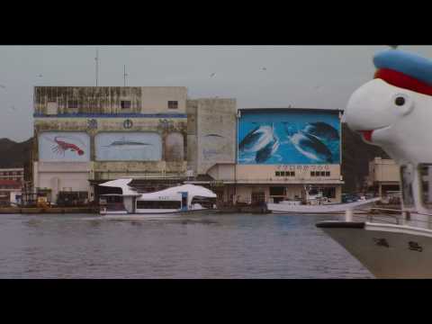 Chasse au dauphin : sanctionné, le Japon se dit choqué…