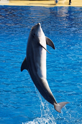 2009_10 (C)Arthur40A_Flickr.jpg