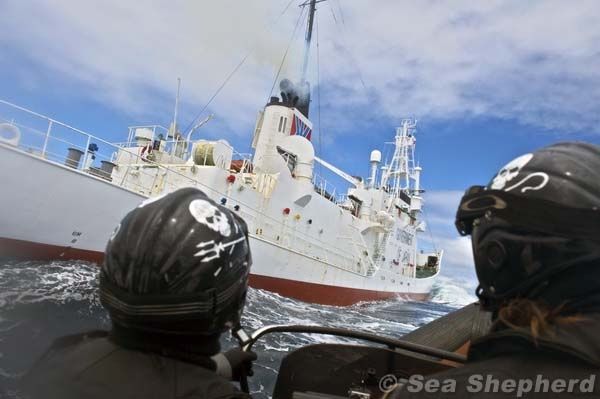 OZT_gallery_1_120101_BR_approaching_Shonan_Maru_2_DSC5050-237-600-450-80.jpg