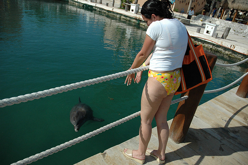Riviera Mayan-Yucatan--Dolphin-enclosure- (C) Hengist Decius-Flickr.jpg