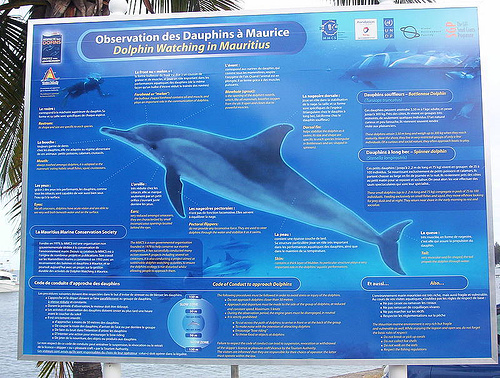 dolphin-watching-Maurice (C) Avinash meetoo-Flickr.jpg
