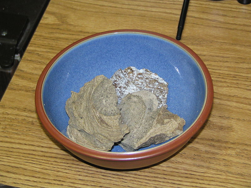 800px-Ambergris.jpg