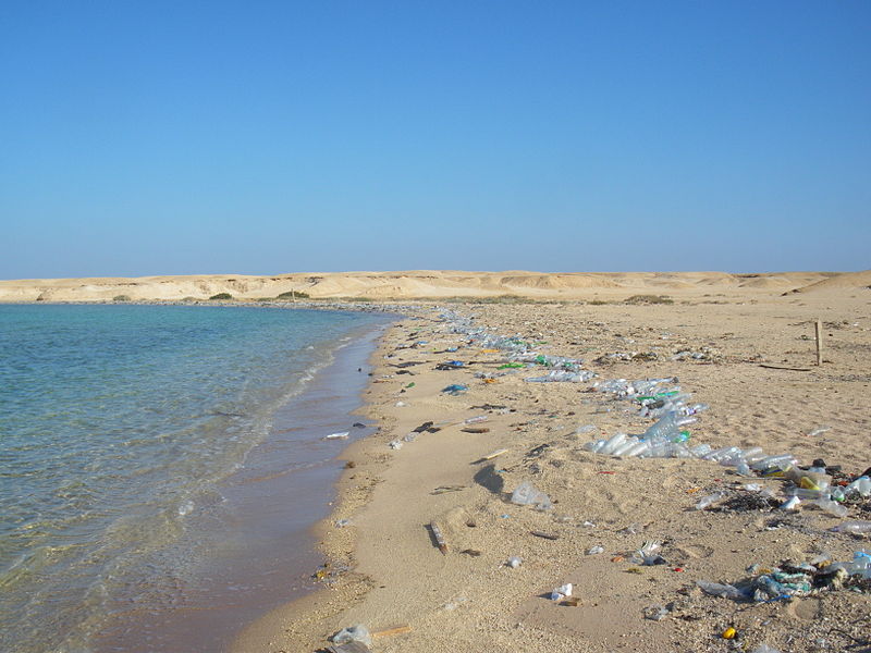 800px-Beach_in_Sharm_el-Naga01.jpg