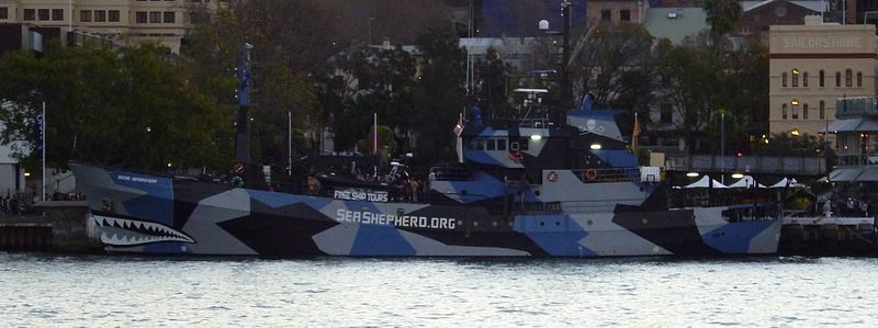 800px-MY_Bob_Barker_at_Circular_Quay_Sydney.jpg