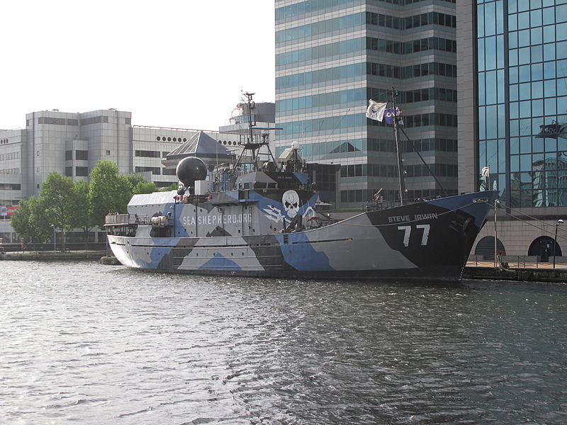 800px-MY_Steve_Irwin-Sea_Shepherd_Conservation_Society.jpg