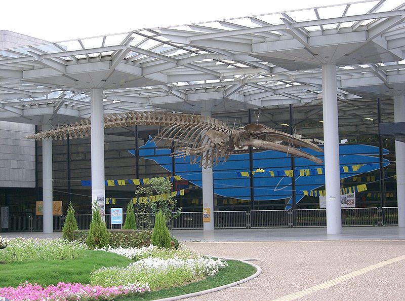 (C) KENPEI 800px-Osaka_Museum_of_Natural_History2.jpg