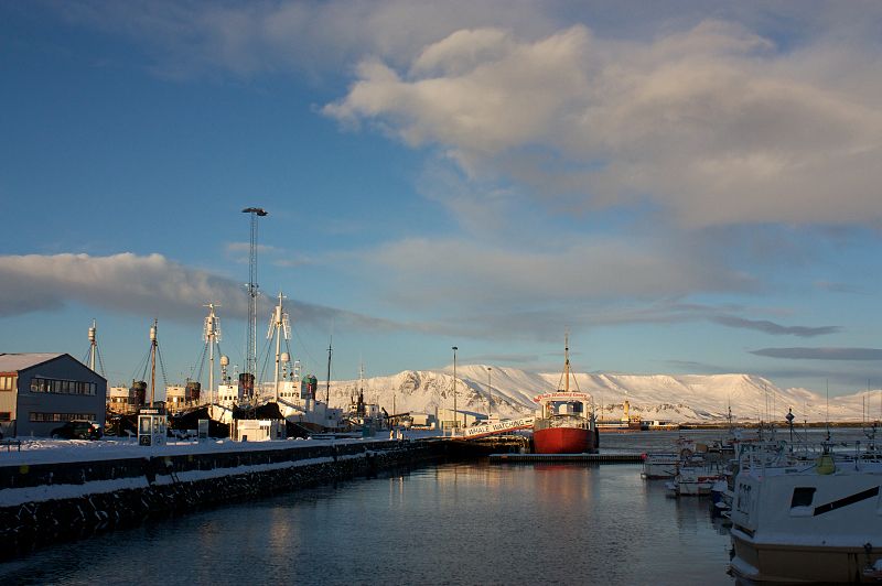 800px-To_the_left,_the_black-hulled_whaling_ships._To_the_right,_the_red-hulled_whale-watching_ship.jpg