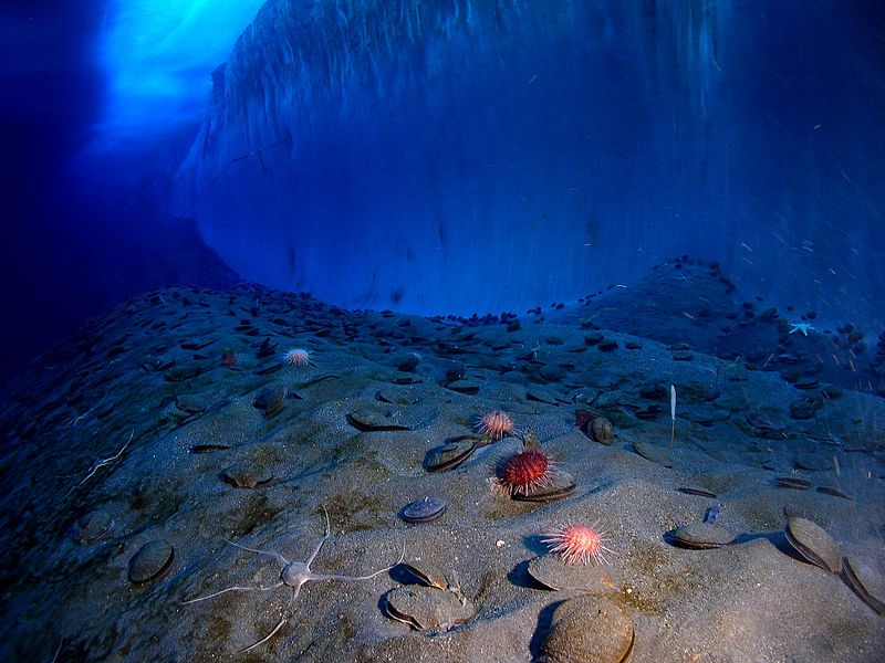 800px-Underwater_mcmurdo_sound.jpg