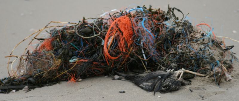 800px-Waste_on_beach.jpg