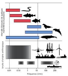 RTEmagicC bruit-ocean the oceanography society dapres Slabbekoorn et al 2010 Elsevier txdam24215 febd49.jpg