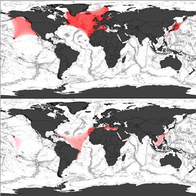 rtemagicc_parasite-baleine-repartition (C) kuhn_et_al-2012.jpg