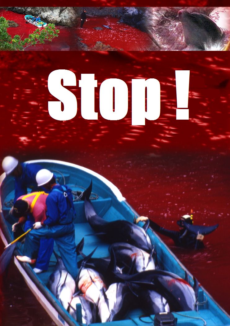 Affiche stop 01 09 12.jpg