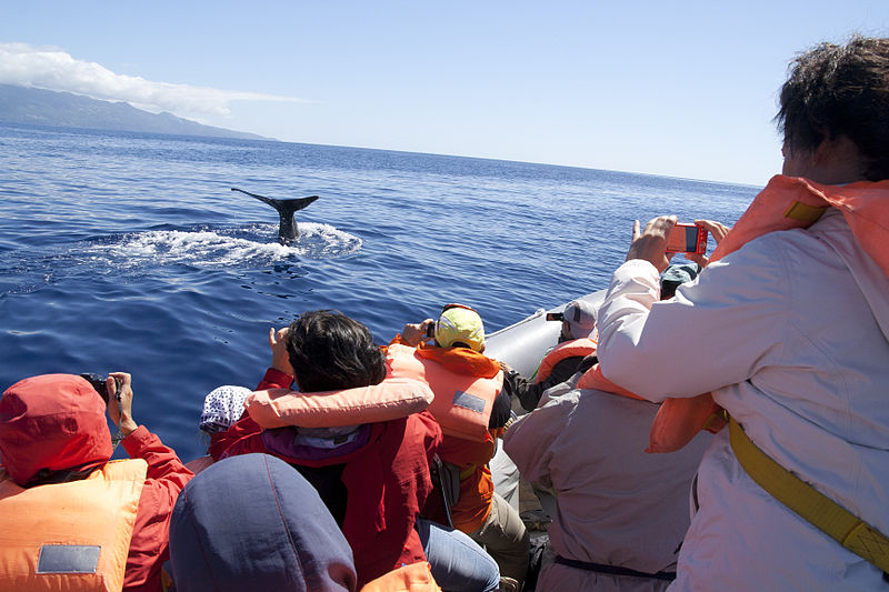 Azores_7255_(7901619500).jpg