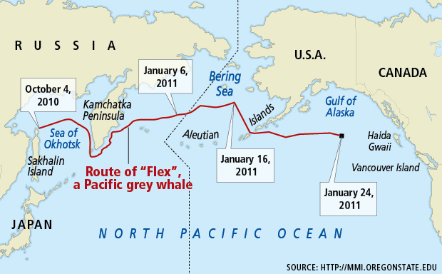 (C) Carte des mouvements de Flex.jpg