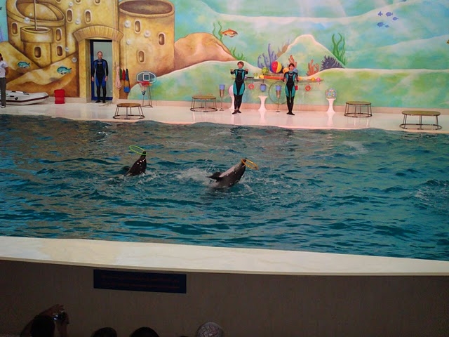 Dubai Dolphinarium 2008--(C) Ranjan-Picasaweb.jpg