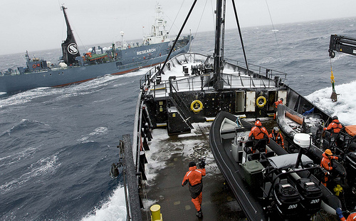 Japanese whaling vessel (C) guano_Flickr.jpg