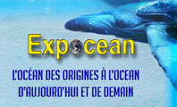 itemexpocean1.jpg