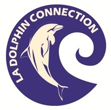 logo_maely_la_dolphin_connection2.jpg