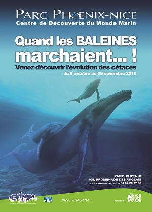 Baleine-20627.jpg