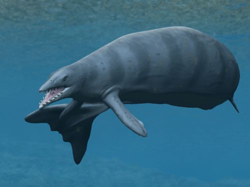 Basilosaurus2_NT.jpg