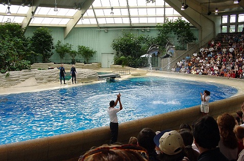 Brookfield_zoo_fg10.jpg