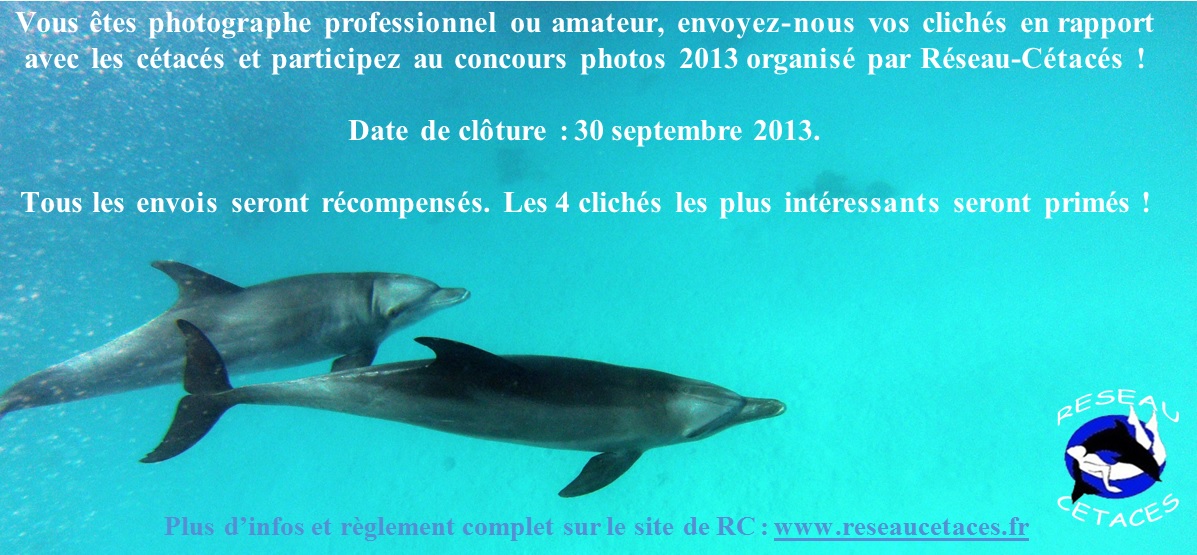 Concours photos RC 2013.jpg