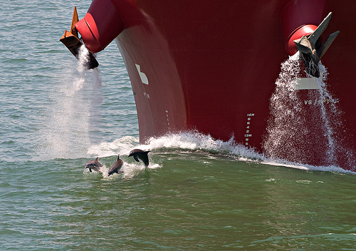 Dolphin-boat -Houston Ship Channel(C) oneeighteen_Flickr.jpg