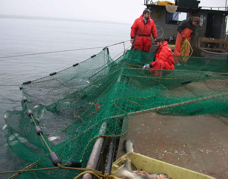 Employees_working_on_fishing_boat_working_with_tribal_partners.jpg