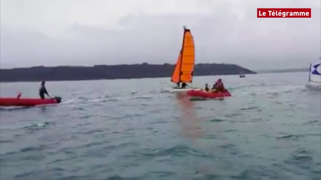 Vidéo – Bretagne : baie de Saint-Brieuc. Mer d’accueil des dauphins… !