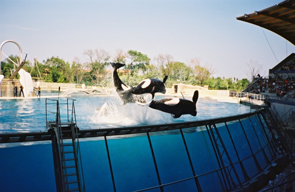 Marineland_Antibes_04.jpg