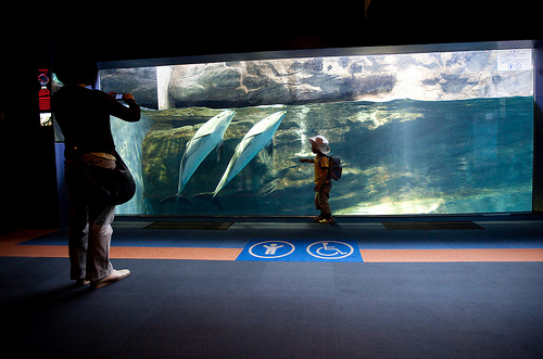 Osaka Aquarium (C) Tensafefrogs - Flickr.jpg