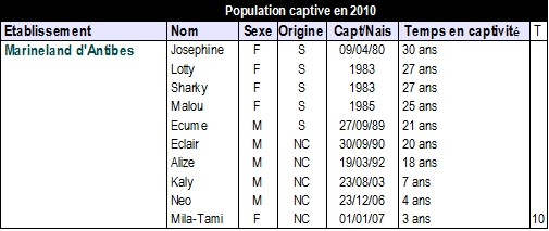Population captive en 2010 - Grands dauphins.jpg