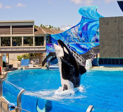 SeaWorld_San_Diego7.jpg